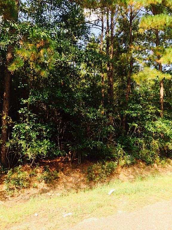 0 Friendship Ln, Conroe, TX 77385 - photo 1