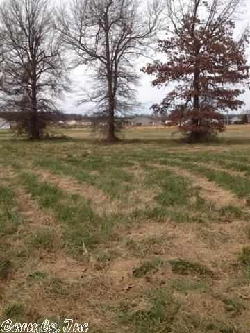 Lot 12/E Cr 339, Jonesboro, AR 72401 - photo 1