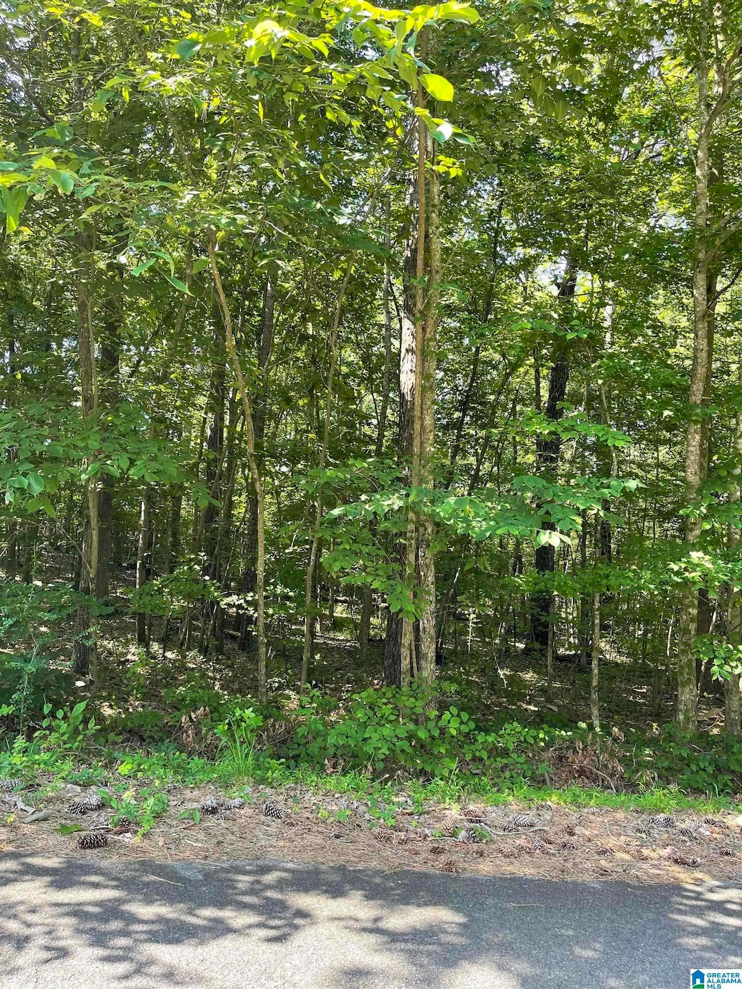 8596 Woodview Ln unit 7-21, Pinson, AL 35126 - photo 1