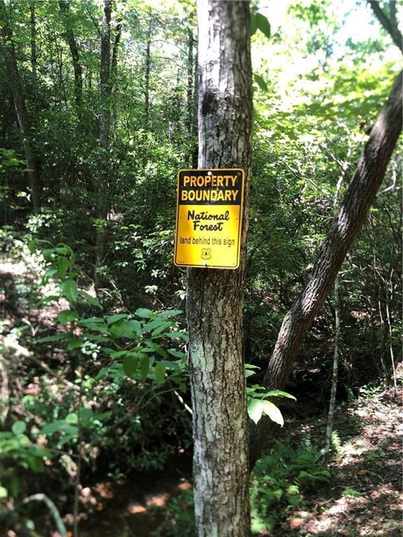 Borders National Forest
