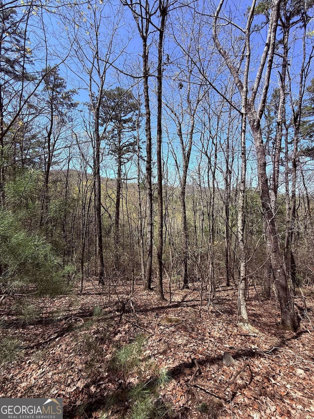 LOT 751 Morton Dr unit 751/752, Ellijay, GA 30540 - photo 1