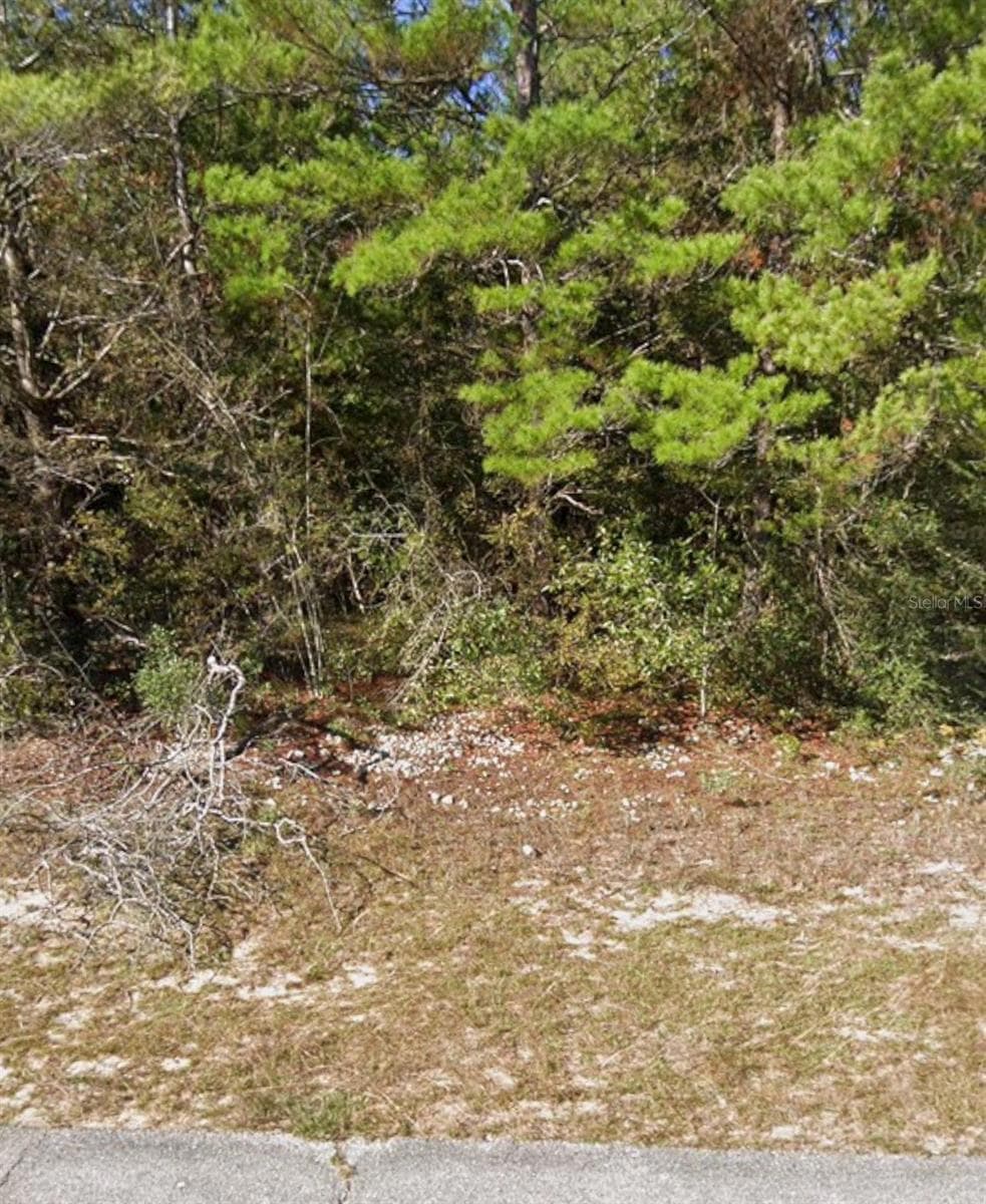 0 Oxford Ave, Chipley, FL 32428 - photo 1