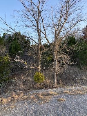 000 Lakeview Trail, Weatherford, TX 76087 - photo 1