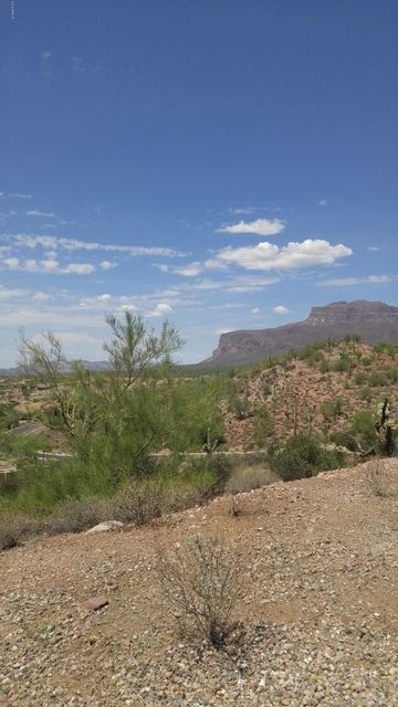 North Views