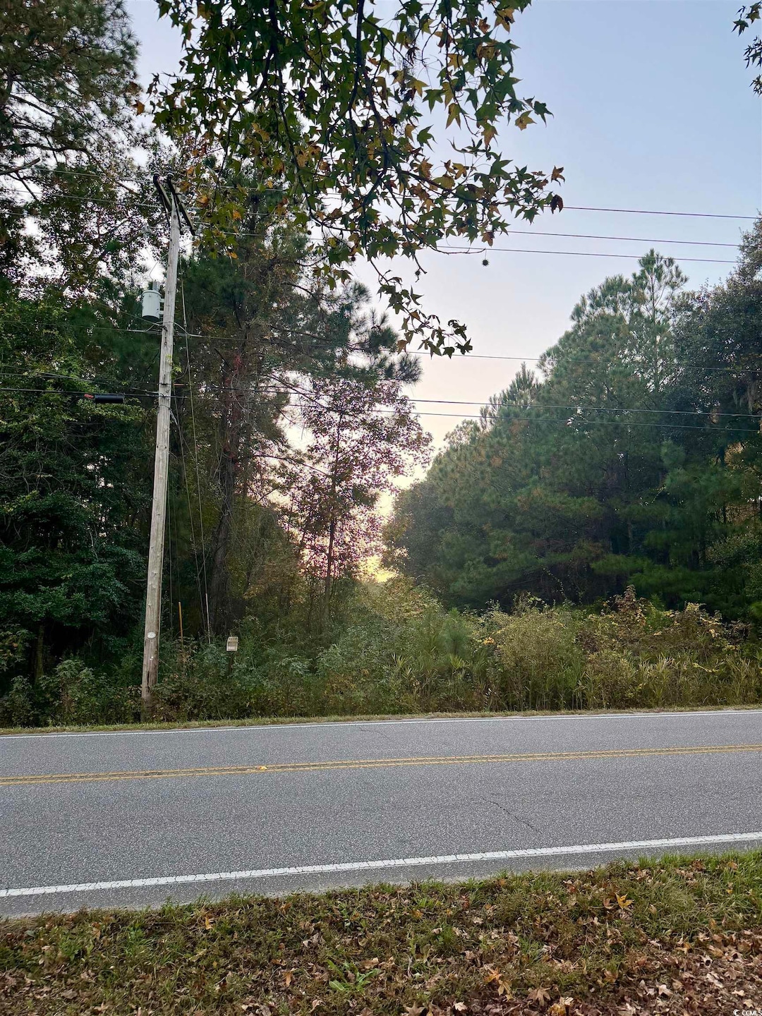 View of asphalt road featuring view of wooded area