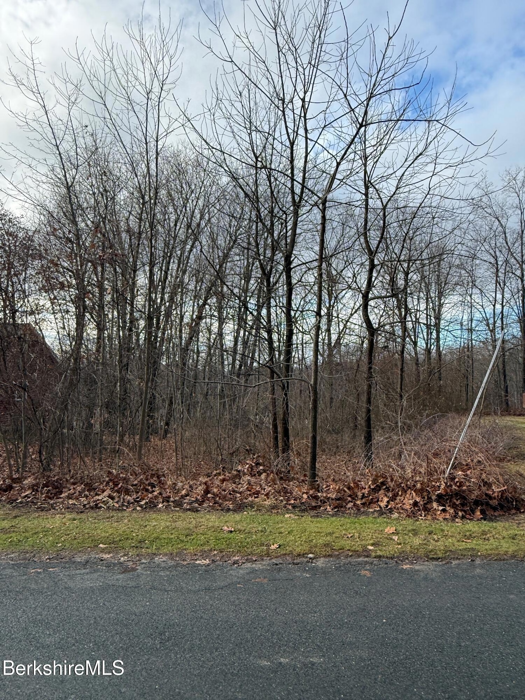 I11001904 Scammell Ave, Pittsfield, MA 01201 - photo 1