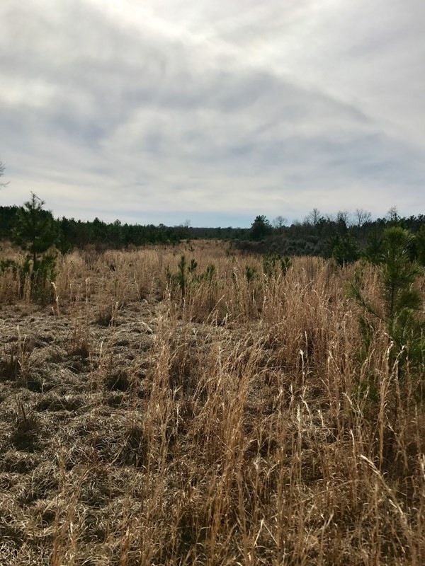 109 Jenkins Rd, Tylertown, MS 39667 - photo 1