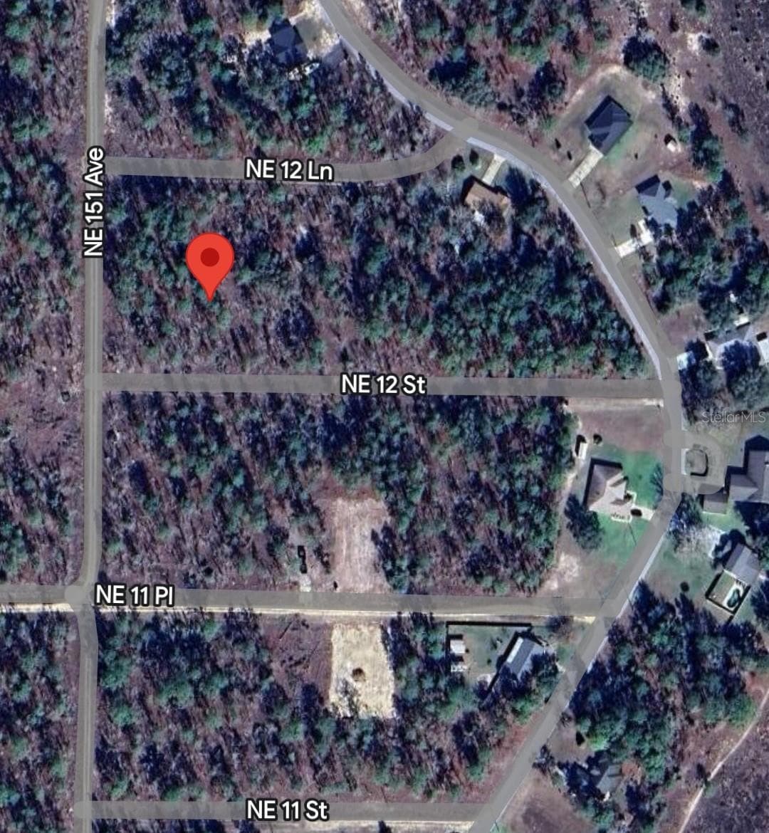 0 Tbd Ne 12 St, Williston, FL 32696 - photo 1