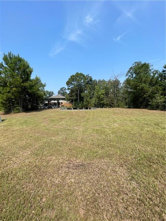 0 Swamp Rd unit 2524224, Springfield, LA 70462 - photo 1