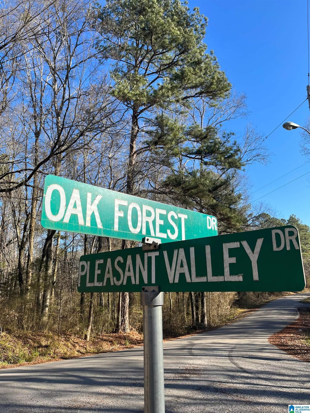 208 Oak Forest Dr unit 1, Birmingham, AL 35217 - photo 1