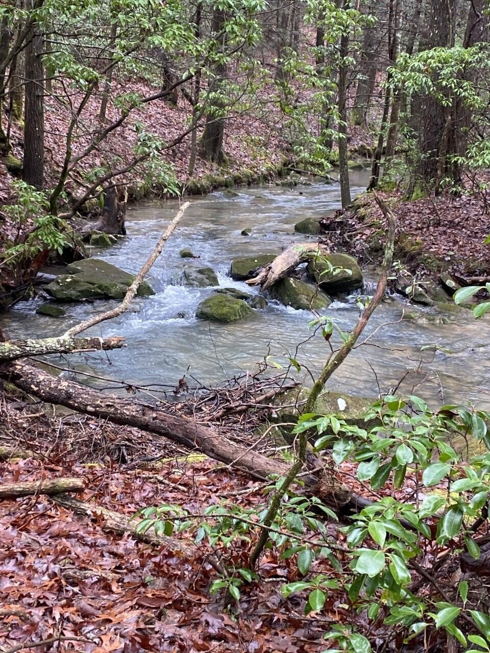 11 Thomas Springs Rd, Crossville, TN 38572 - photo 1