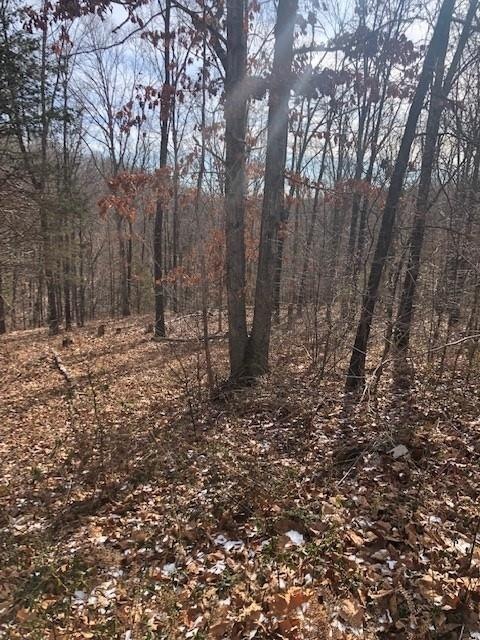 Cul de sac on Norman Dr