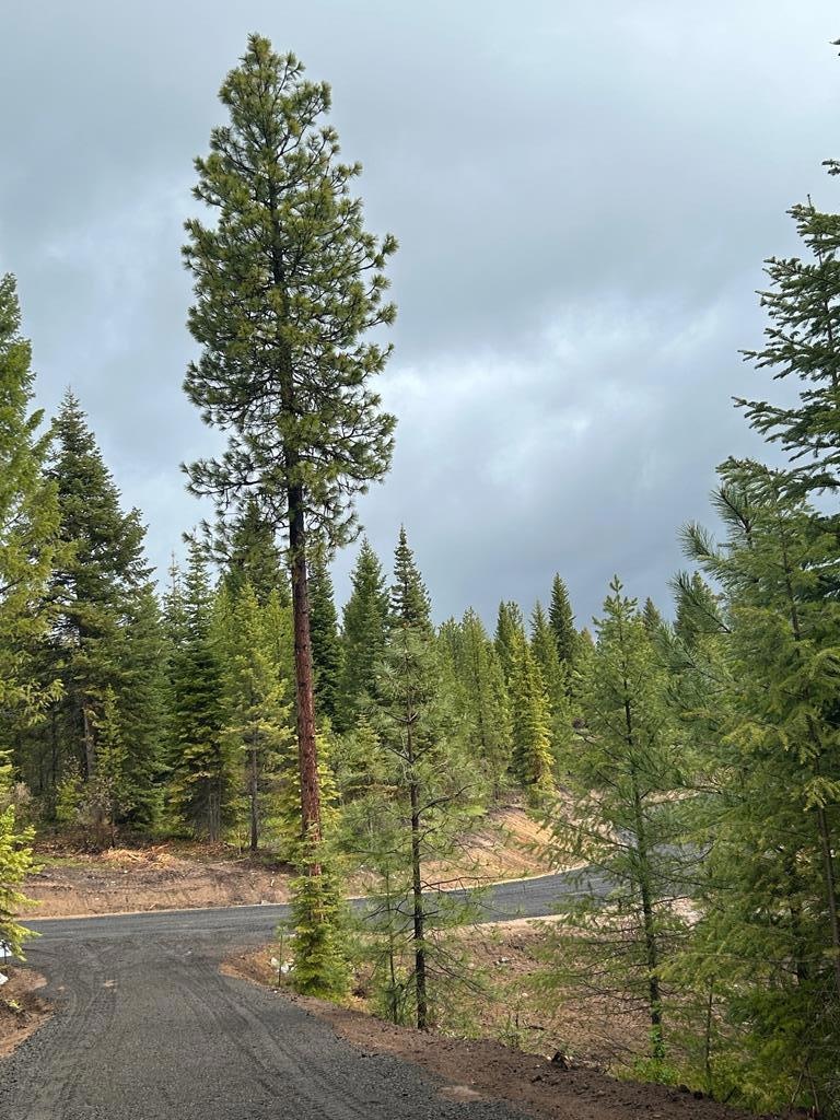 27 Sawtooth Loop unit Lot 23, Cascade, ID 83611 - photo 1