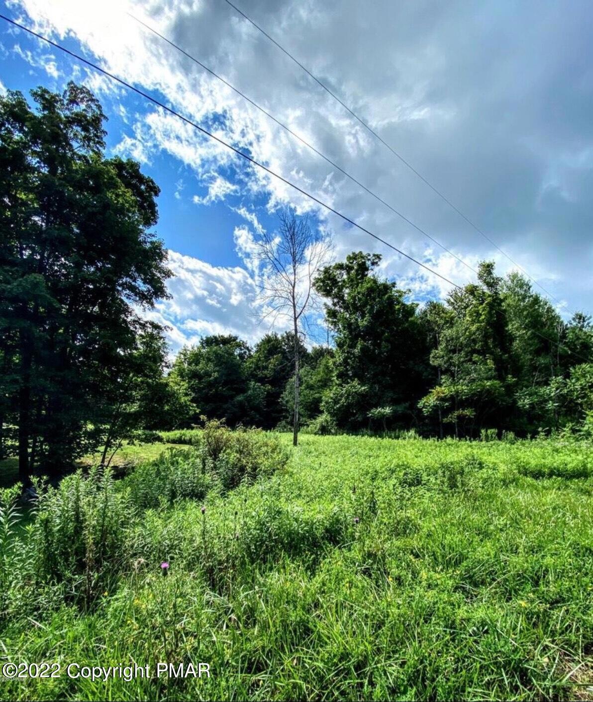 Lot 3 St Marys Villa Rd, Moscow, PA 18444 - photo 1