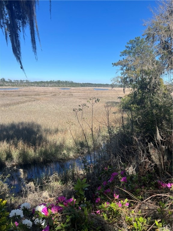 Tidal Creek w/ Sapelo River beyond