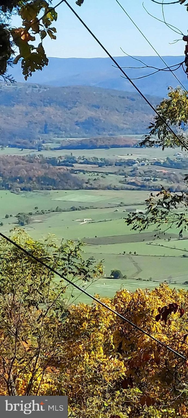 Lot 8A Little Mountain, Cabins, WV 26855 - photo 1