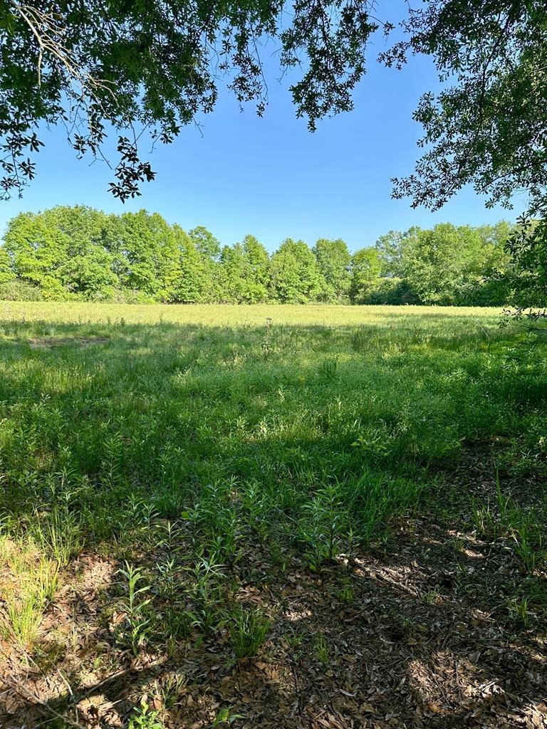 000 Moeller Rd, Picayune, MS 39466 - photo 1