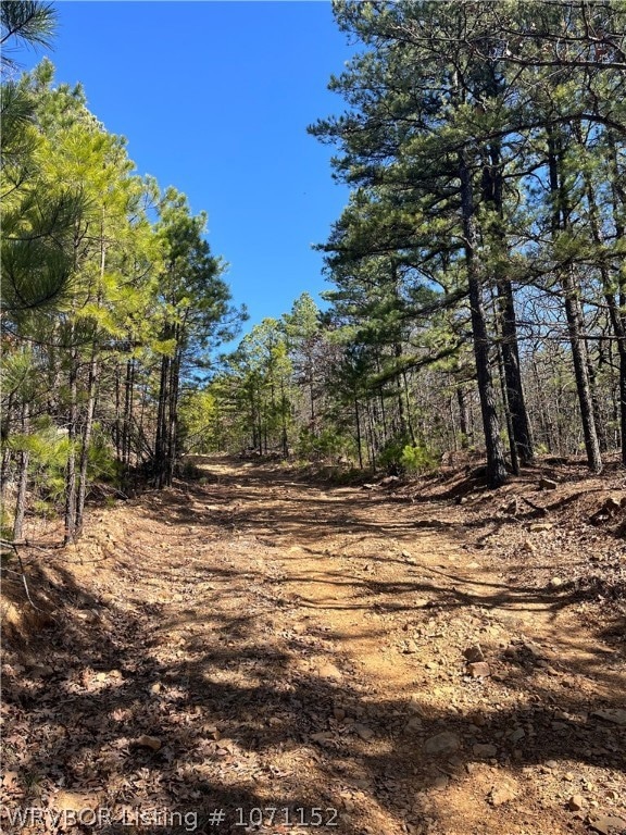 TBD 1156th Ave, Red Oak, OK 74563 - photo 1