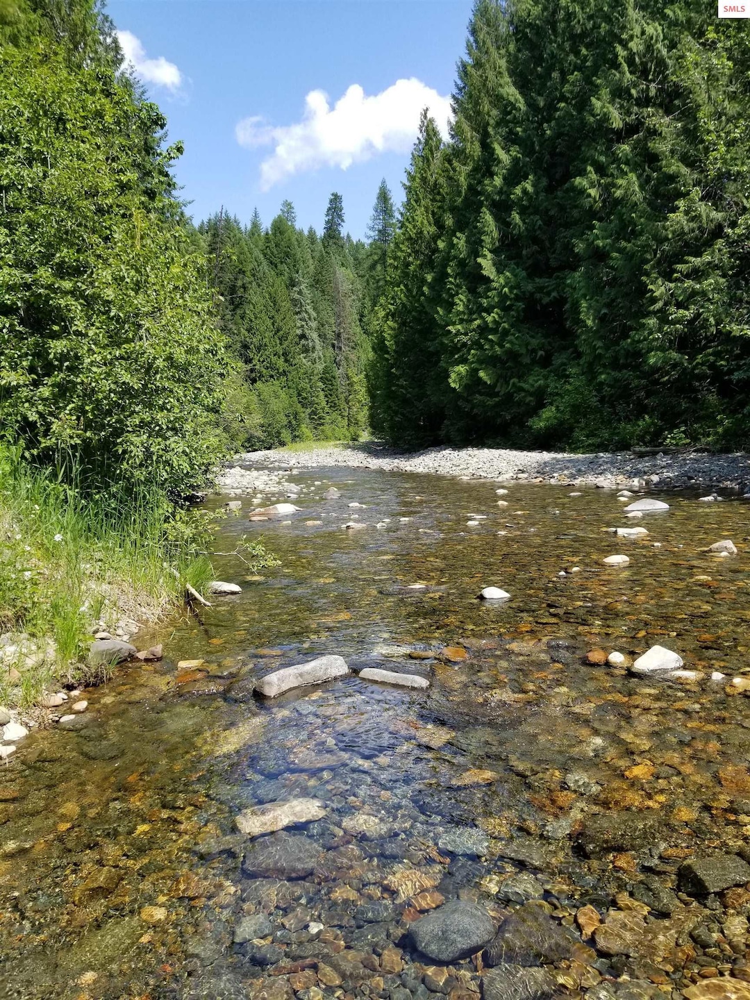 Crystal clear Grouse Creek Runs Through Here!