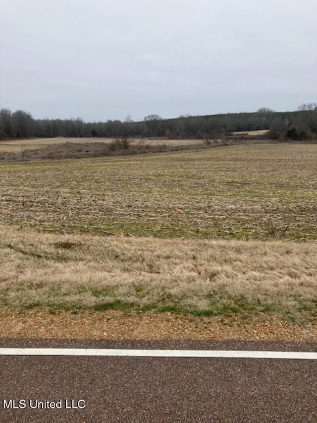 9002 Lot 2 Hudson Rd, Hernando, MS 38632 - photo 1