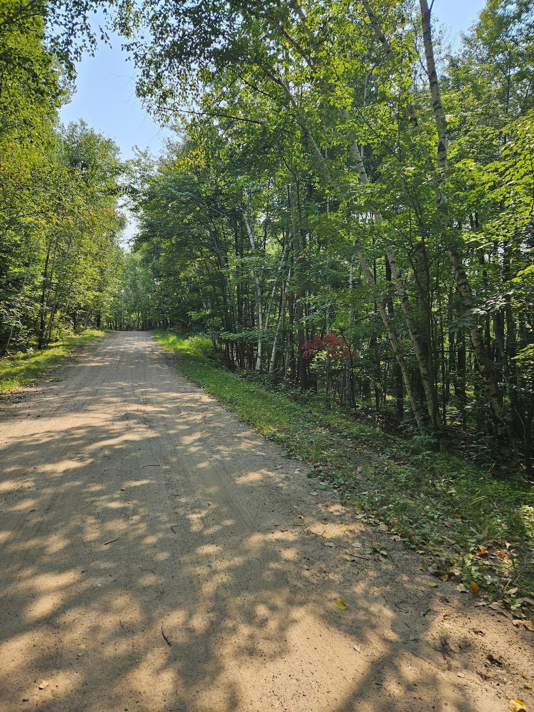 Lots 41-43 Catskill Dr, Breezy Point, MN 56472 - photo 1