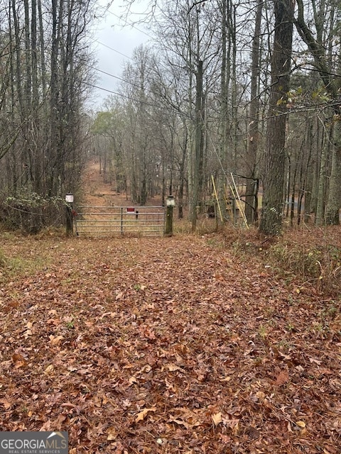 0 Winding Stream Trail unit 10654606, Hampton, GA 30228 - photo 1