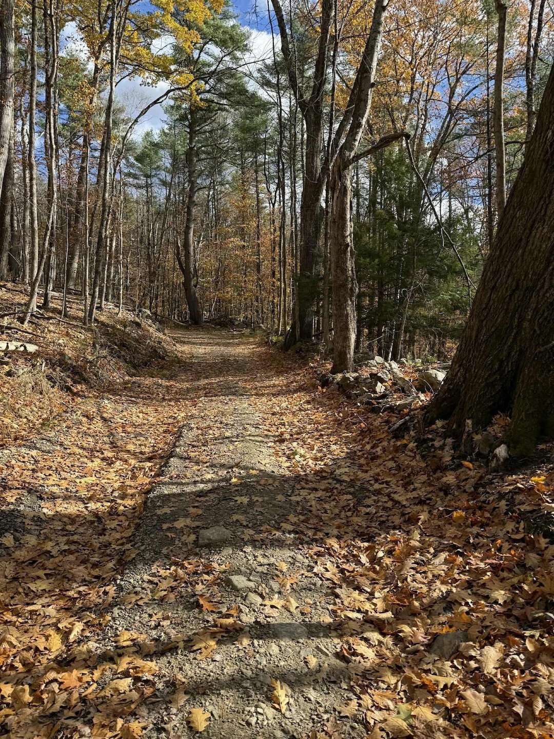 60 Pound Rd, Sanbornton, NH 03269 - photo 1