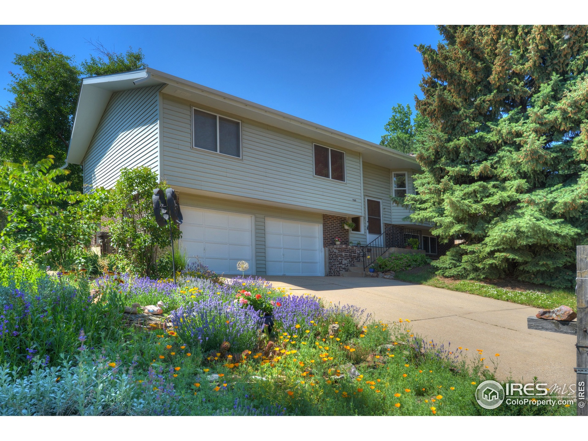 1565 Judson Dr, Boulder, CO 80305 - photo 1
