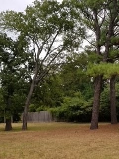 2023 E Dove Rd, Southlake, TX 76092 - photo 1