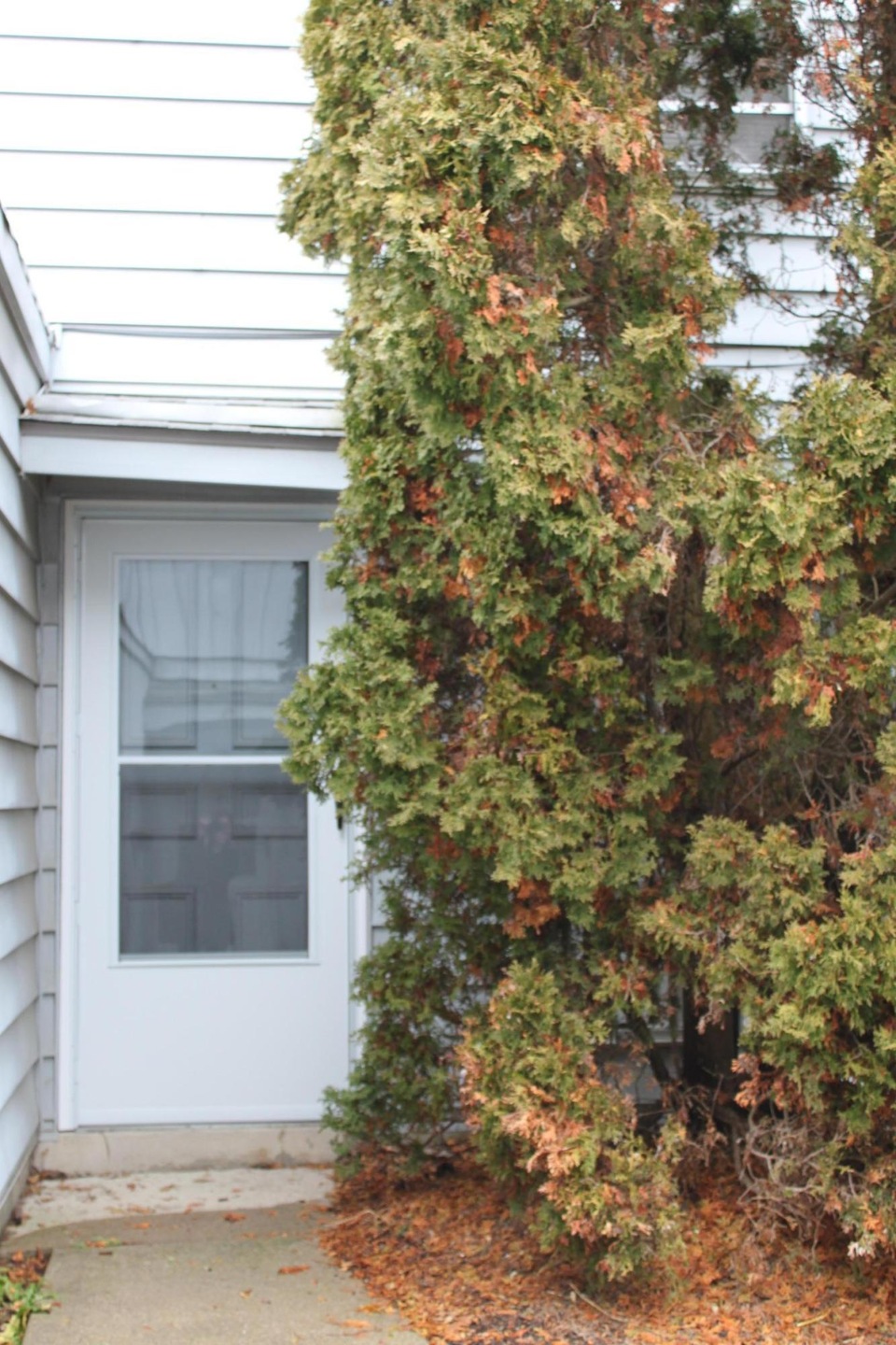 664 Cherry Hollow Rd unit F, Columbus, OH 43228 - photo 1