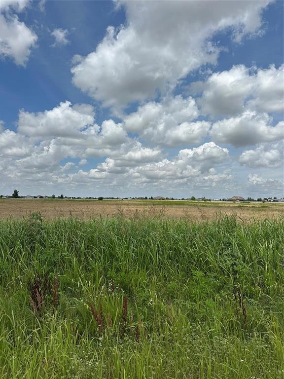 View of local wilderness featuring rural landscape
