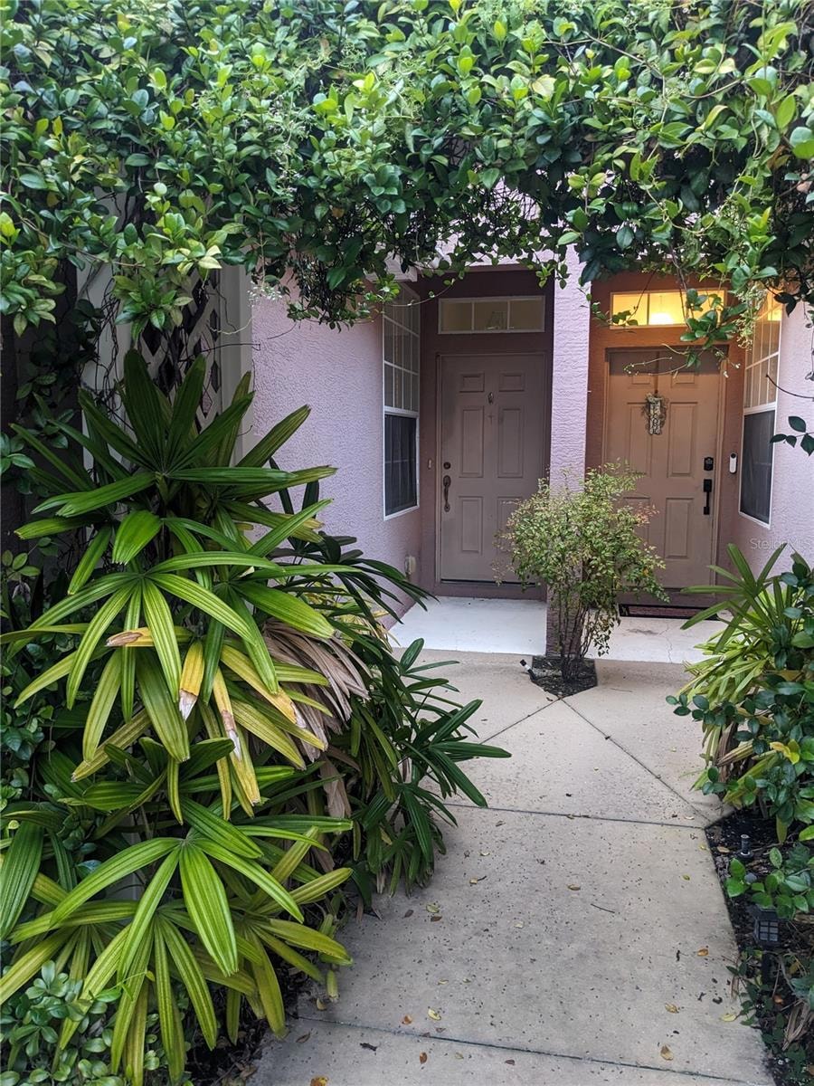 10005 Tranquility Way, Tampa, FL 33625 - photo 1