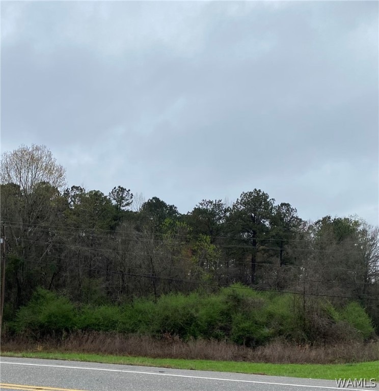 Small lot-view from Highway 5