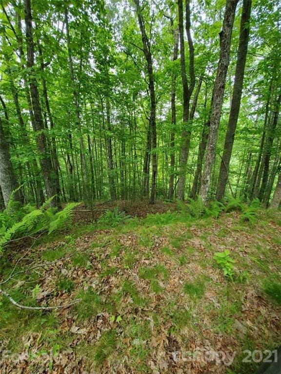 141 River Club Trail unit 8, Marshall, NC 28753 - photo 1