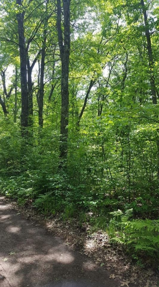 0 7th Ave, Merrill Township, MI 49309 - photo 1