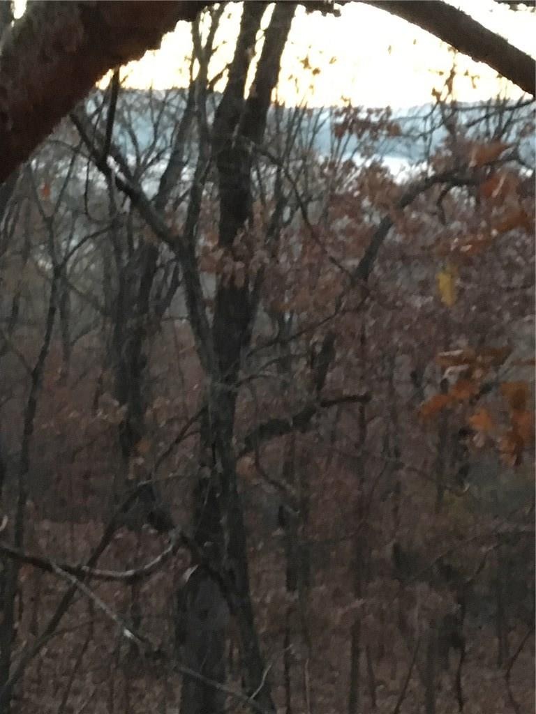 0 Cr 558 unit 1137841, Colcord, OK 74338 - photo 1