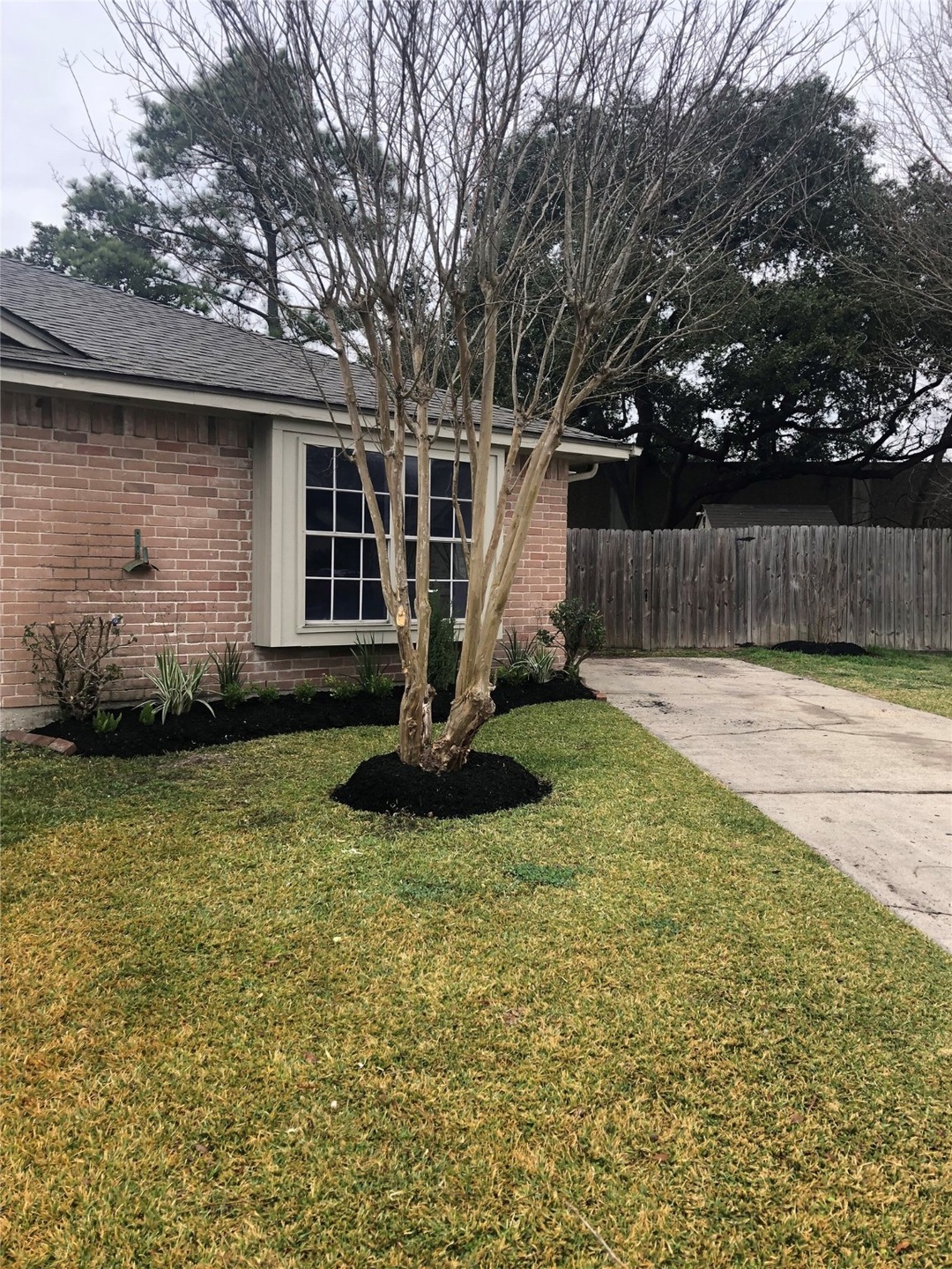 11025 Tanglehead Ct, Houston, TX 77086 - photo 1