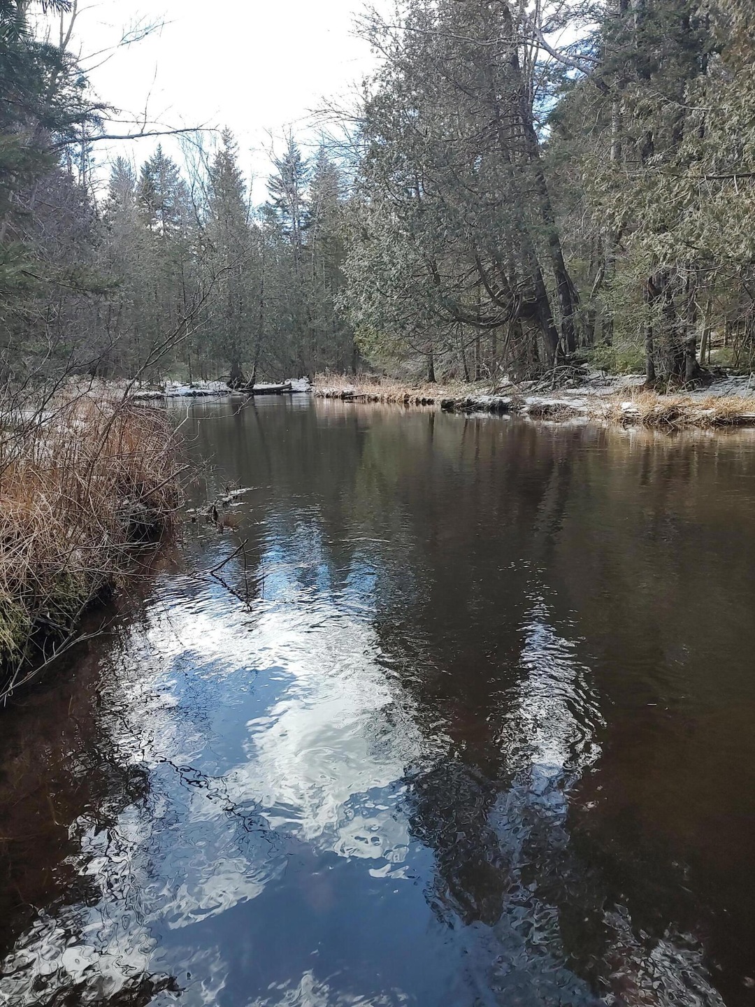 Flanders Stream