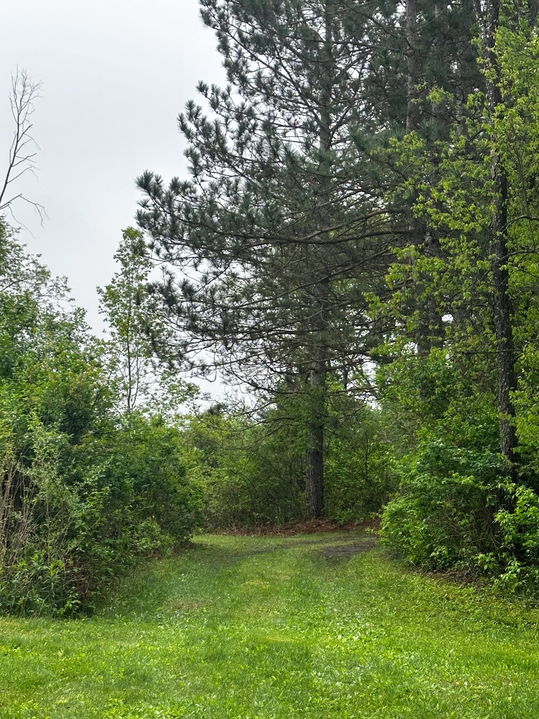 wood waterfront lot