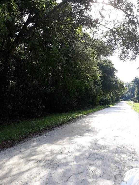 Lot 4 SW Alabama Glen, Fort White, FL 32038 - photo 1