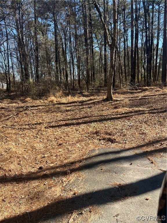 View of local wilderness