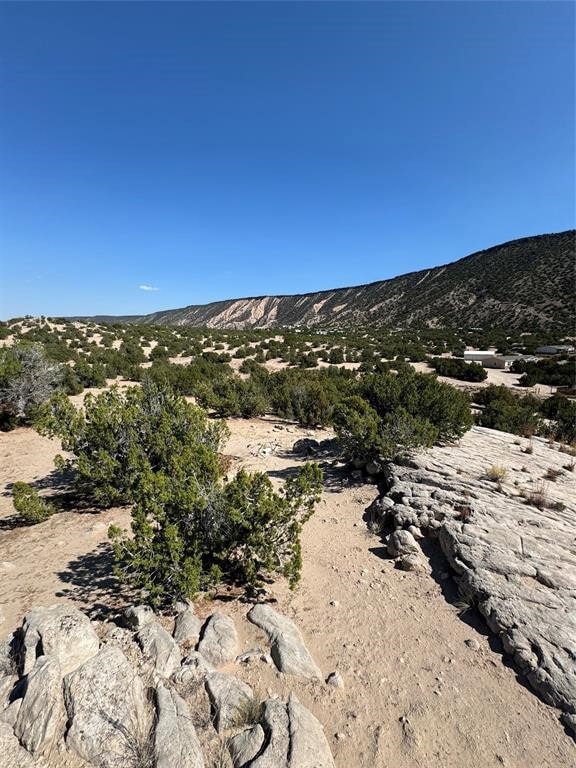 00 Cedar Ridge Loop Lava Rd, Ojo Caliente, NM 87549 - photo 1