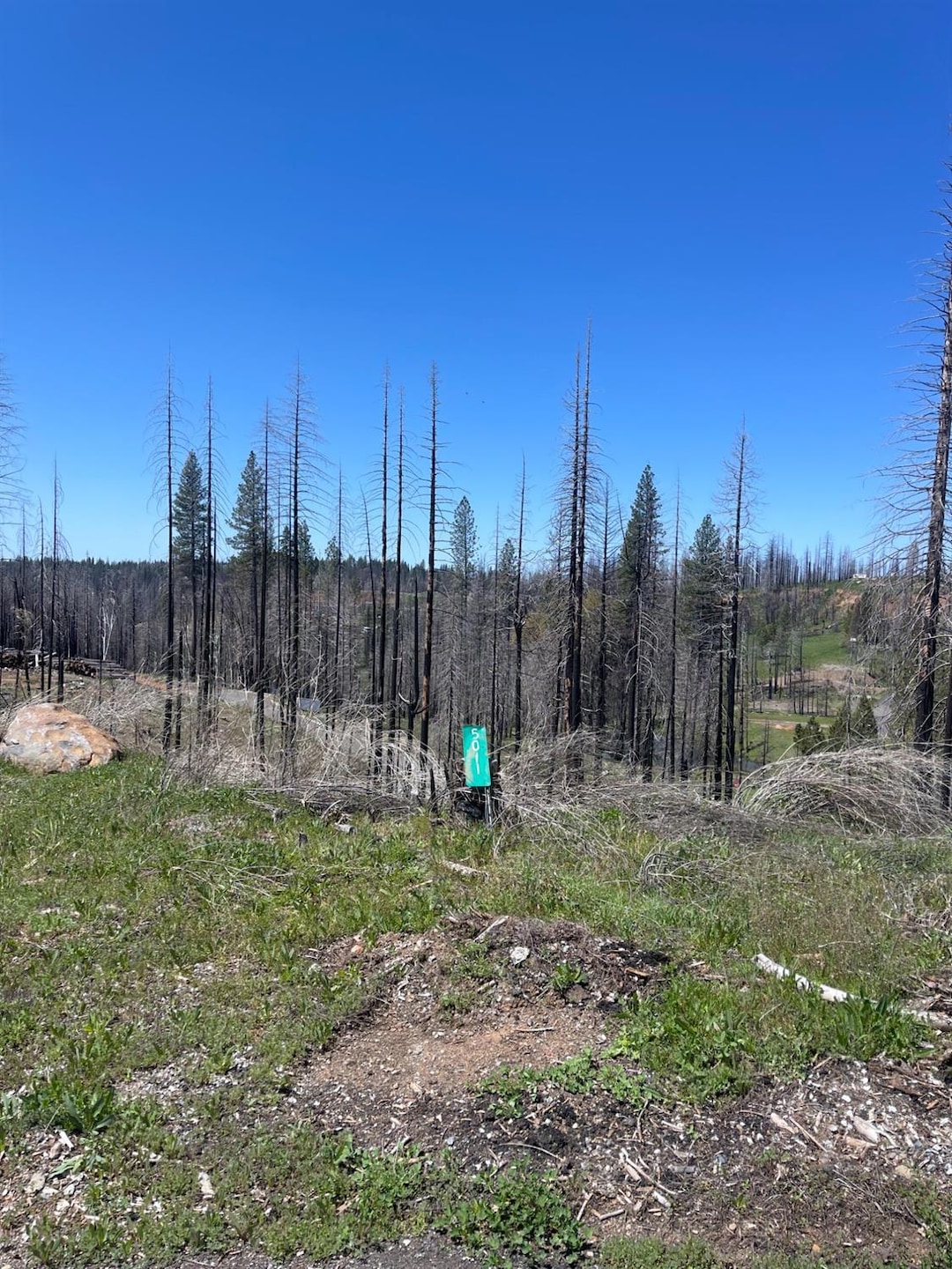 5011 Storybook Ct, Grizzly Flats, CA 95636 - photo 1