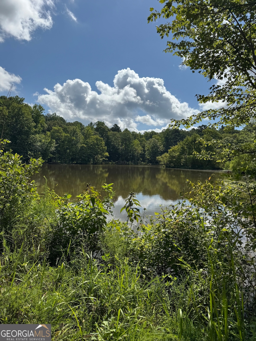 16653 Highway 36, Covington, GA 30014 - photo 1