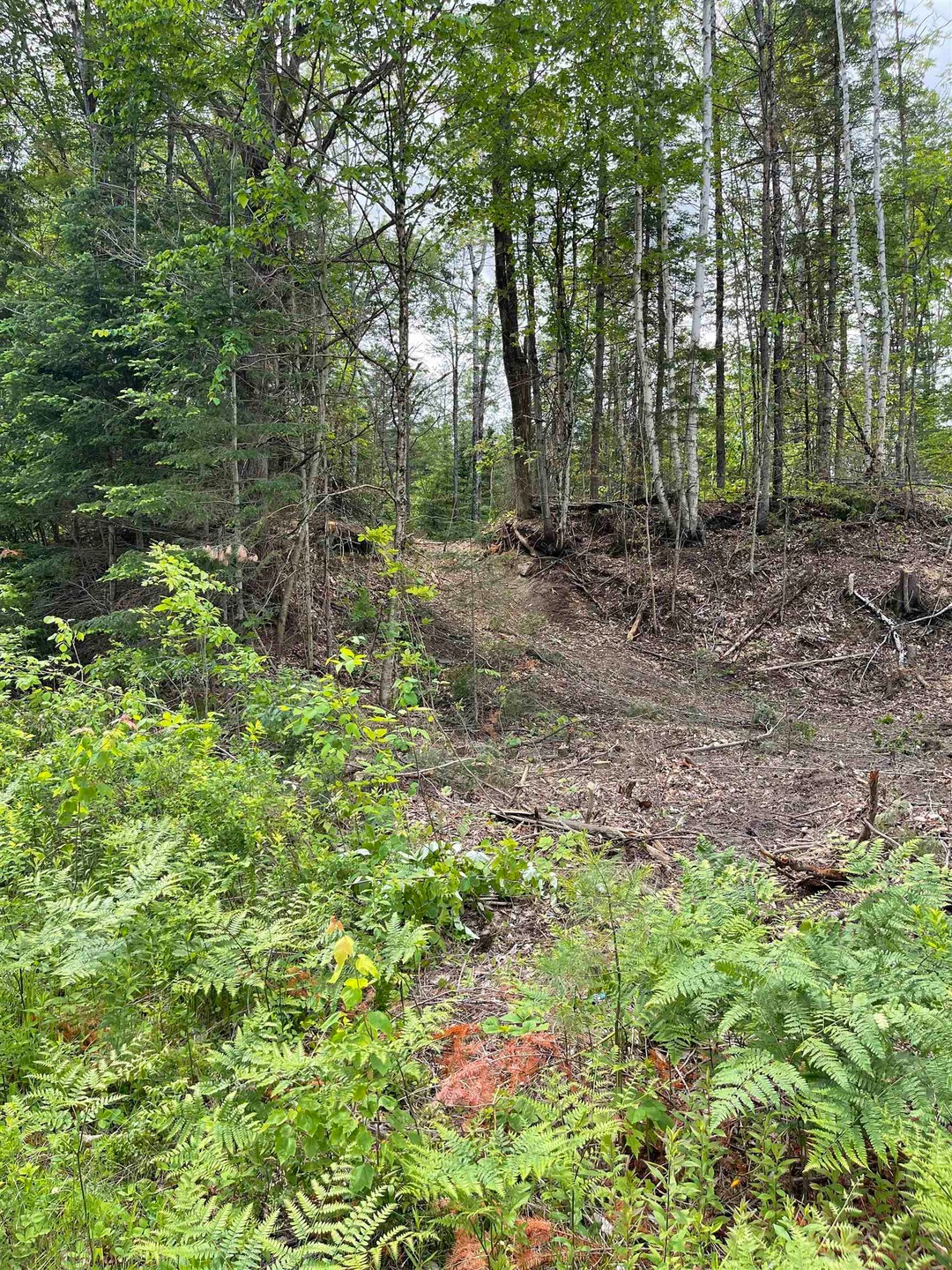 00 Vermont 102, Bloomfield, VT 05905 - photo 1