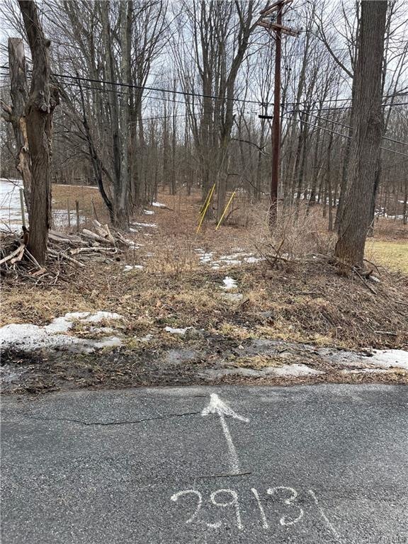 0 Bulls Head Rd unit H6191835, Clinton, NY 12514 - photo 1