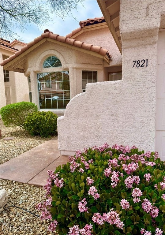 View of exterior entry featuring a tiled roof and