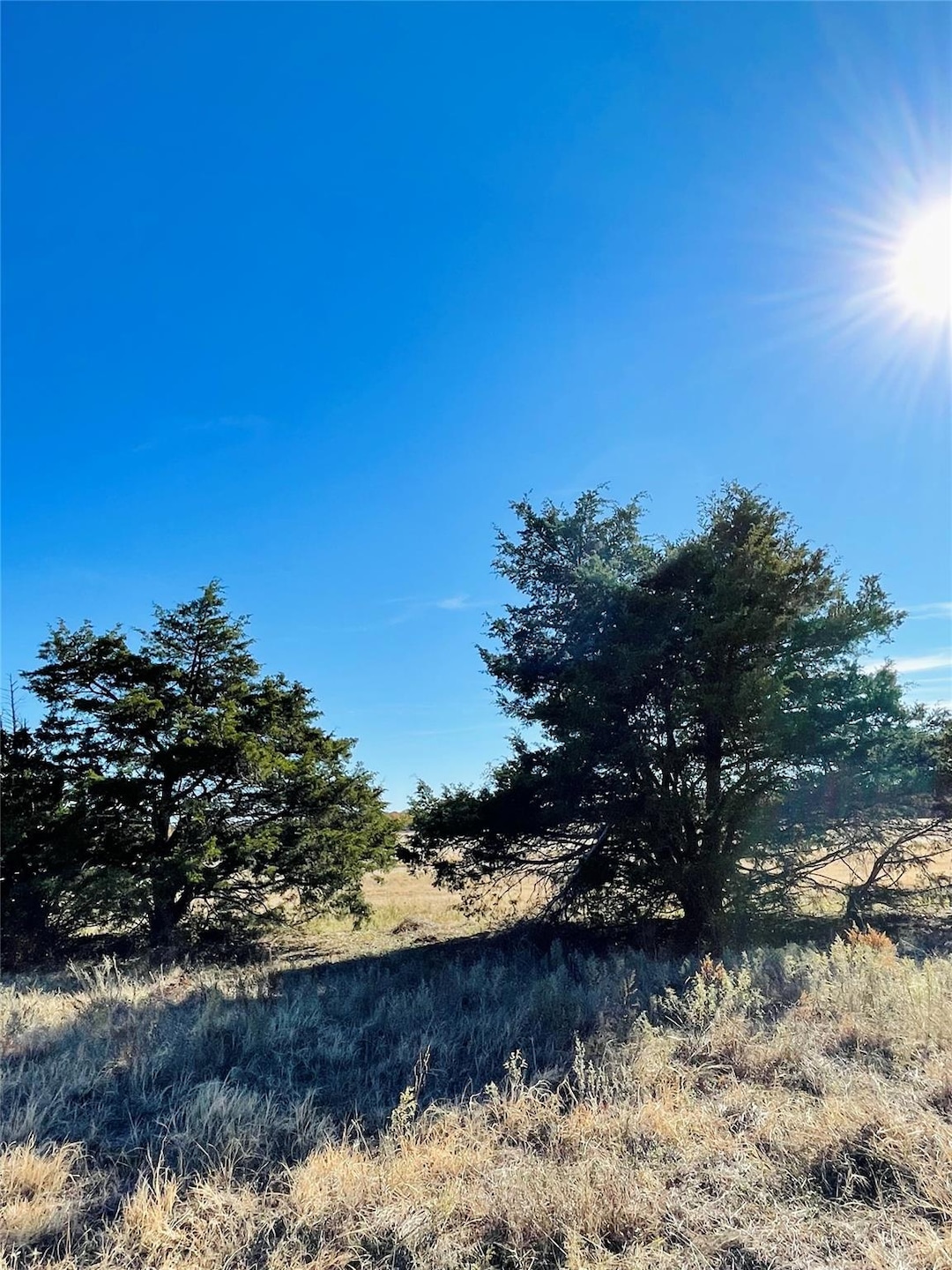 TBD County Rd 122, Gainesville, TX 76240 - photo 1