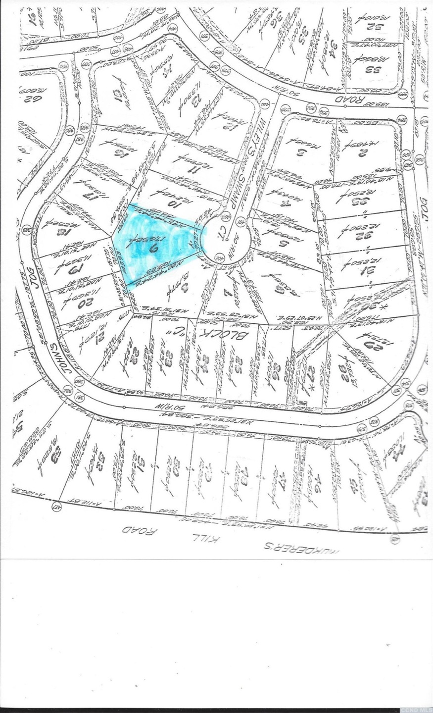 0 - C-009 Wiley Swamp, Sleepy Hollow Lake, NY 12015 - photo 1