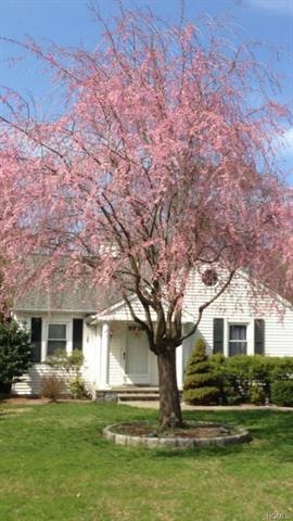 57 Newman Ave, Hawthorne, NY 10532 - photo 1